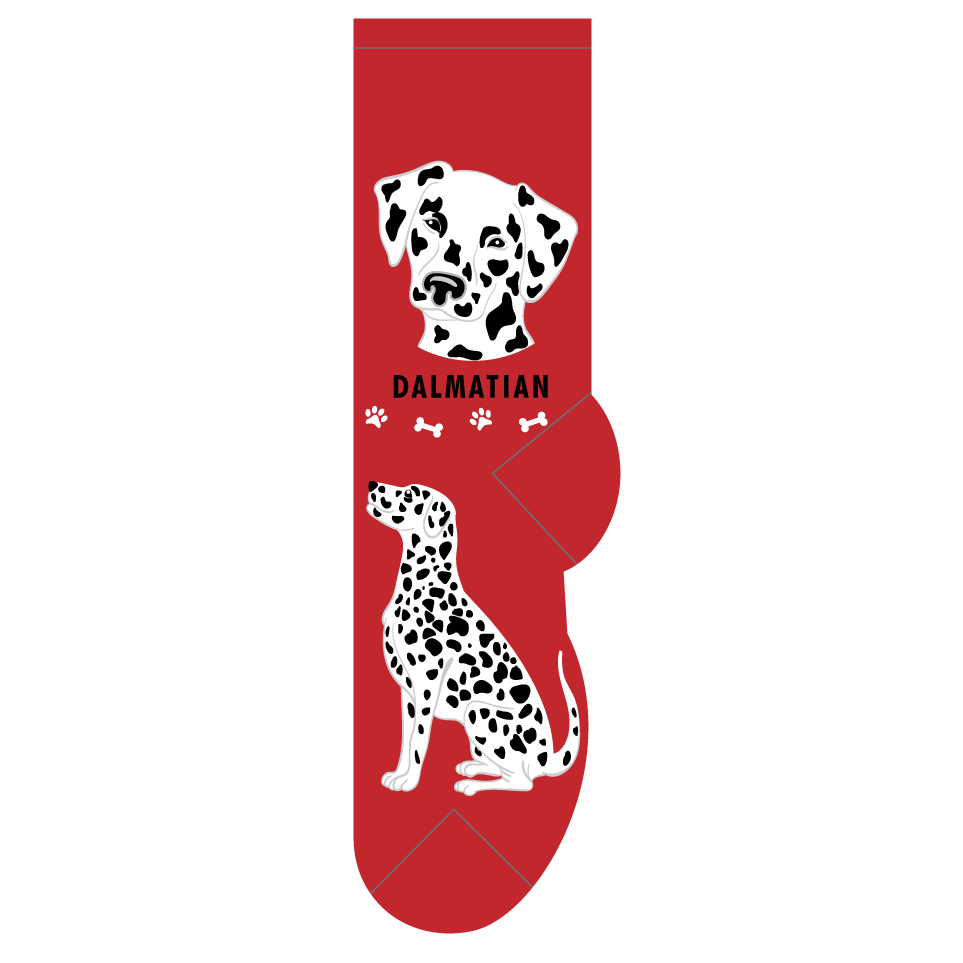 Dalmatian